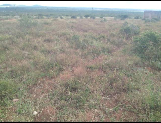LAND FOR SALE IN MANKWENG